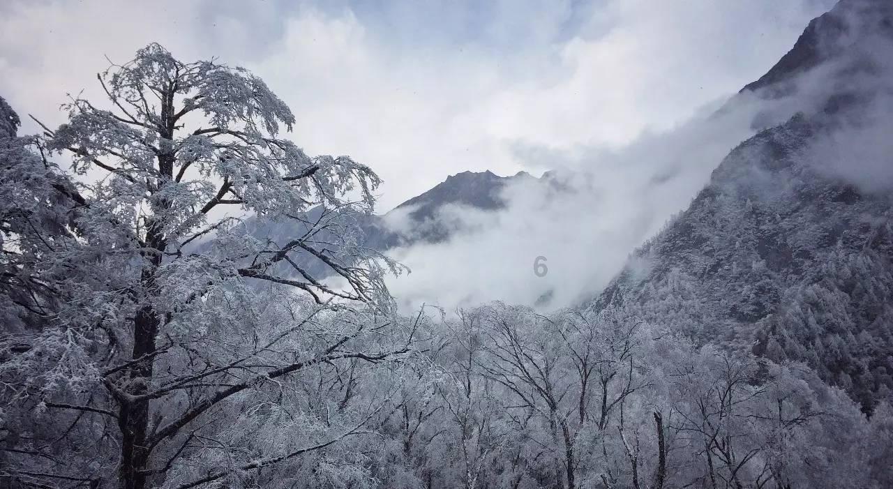 问一下跨省异地社保的转移,一定是2013年最新政策哦。_有问必答平台
