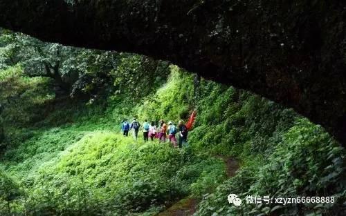 逃离违建房屋4